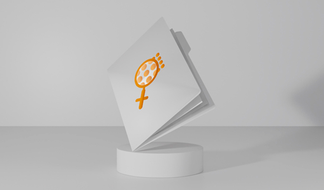 Investigadoras mulheres por setores